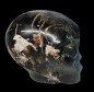 Preview: Alien Skull Black Agate